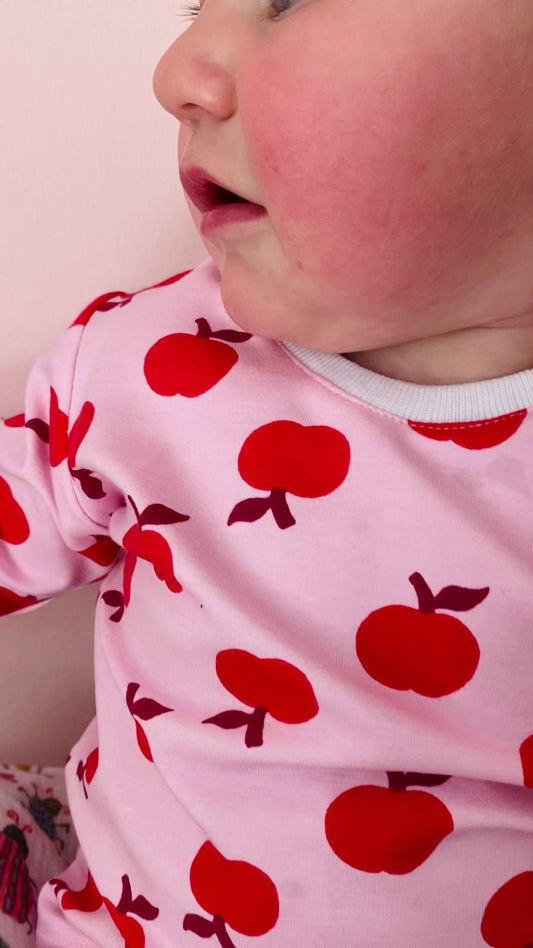 Apple of my Eye winter Playset