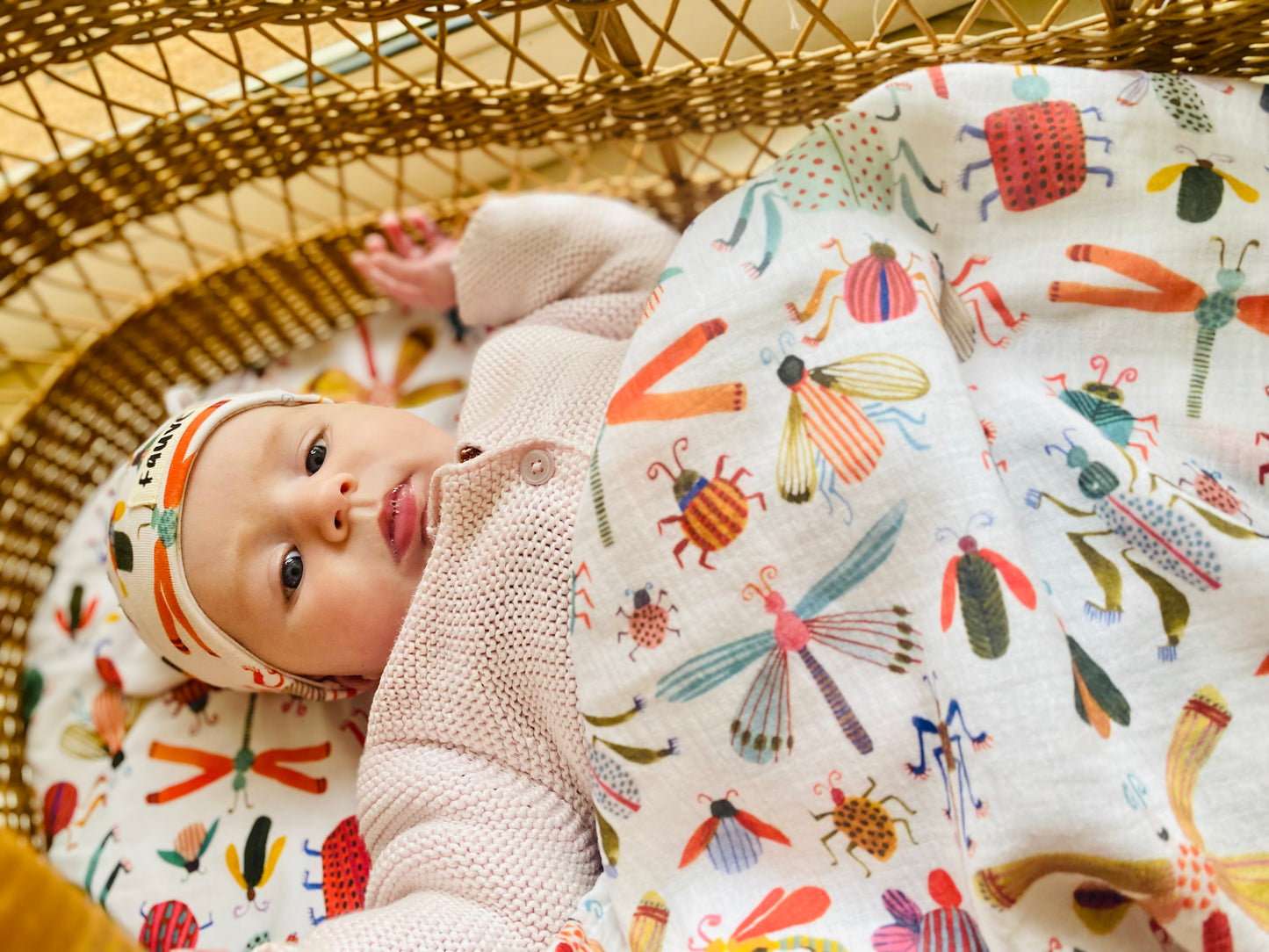 Bugs Muslin Swaddle